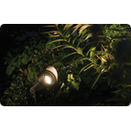  - ()  Garden Lights Focus, 
