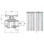      Coraplax TYPE PE .20 (DN15)