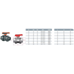      Cepex . 63 (Teflon-FPM, STD)